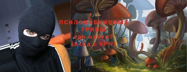 a pvp Белокуриха
