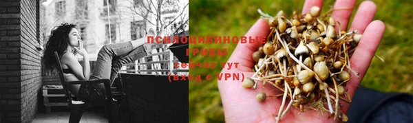гашик Беломорск