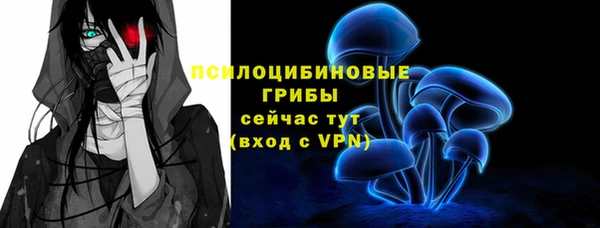 a pvp Белокуриха