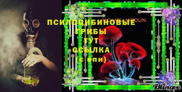 гашик Беломорск