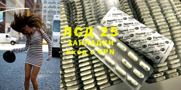 a pvp Белокуриха