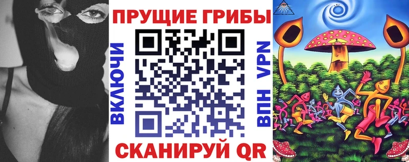 Псилоцибиновые грибы мицелий где найти наркотики Иноземцево